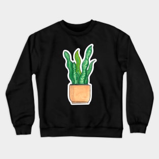 Snake Plant / Mother in Laws Tongue - House Plant Watercolour Crewneck Sweatshirt